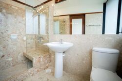 The Draycott (D10), Apartment #579685631